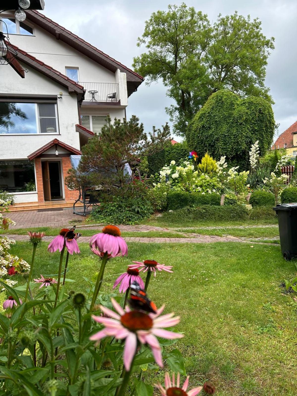 Villa Mielno-Eko Миелно Екстериор снимка
